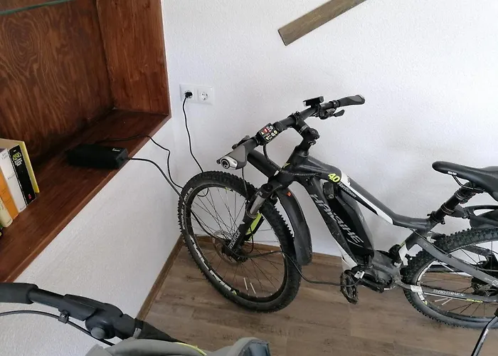 Blumenwerkstatt Mit Sauna Und Jacuzzi Dankerode (Saxony-Anhalt)