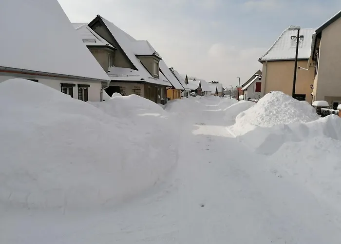Apartment Blumenwerkstatt Mit Sauna Und Jacuzzi Dankerode (Saxony-Anhalt)